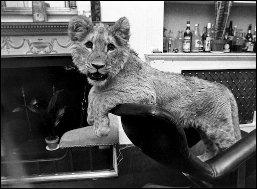Christain as a cub